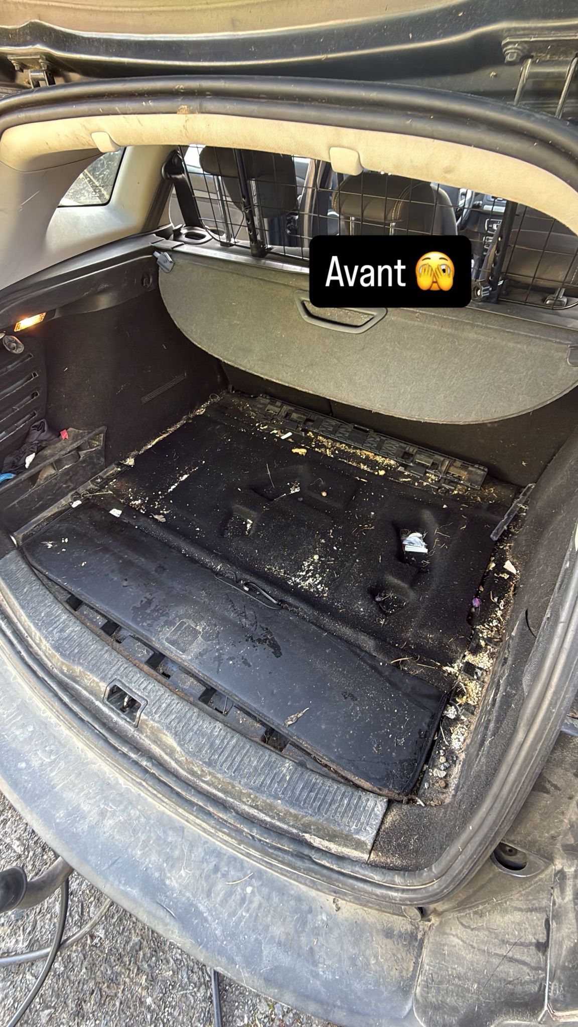 Avant : coffre sale